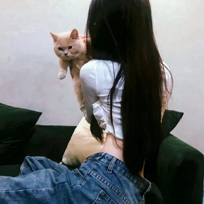 枪火游戏